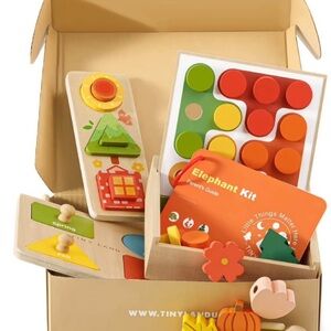 Wooden Learning Toy Set - Colorful Educational Fun
